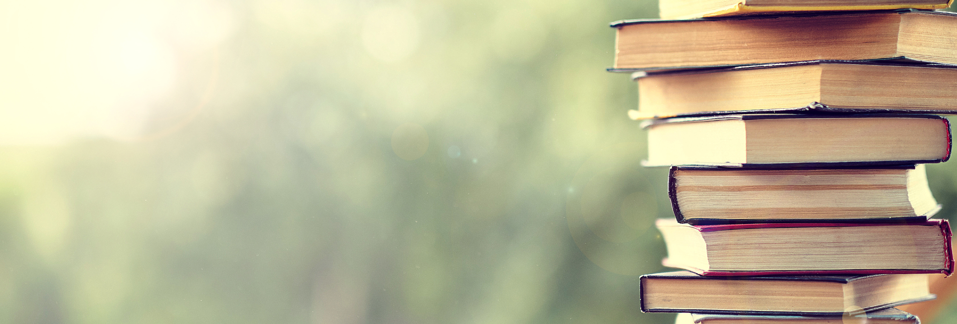 Conversie Partners online marketing header op WordPress site